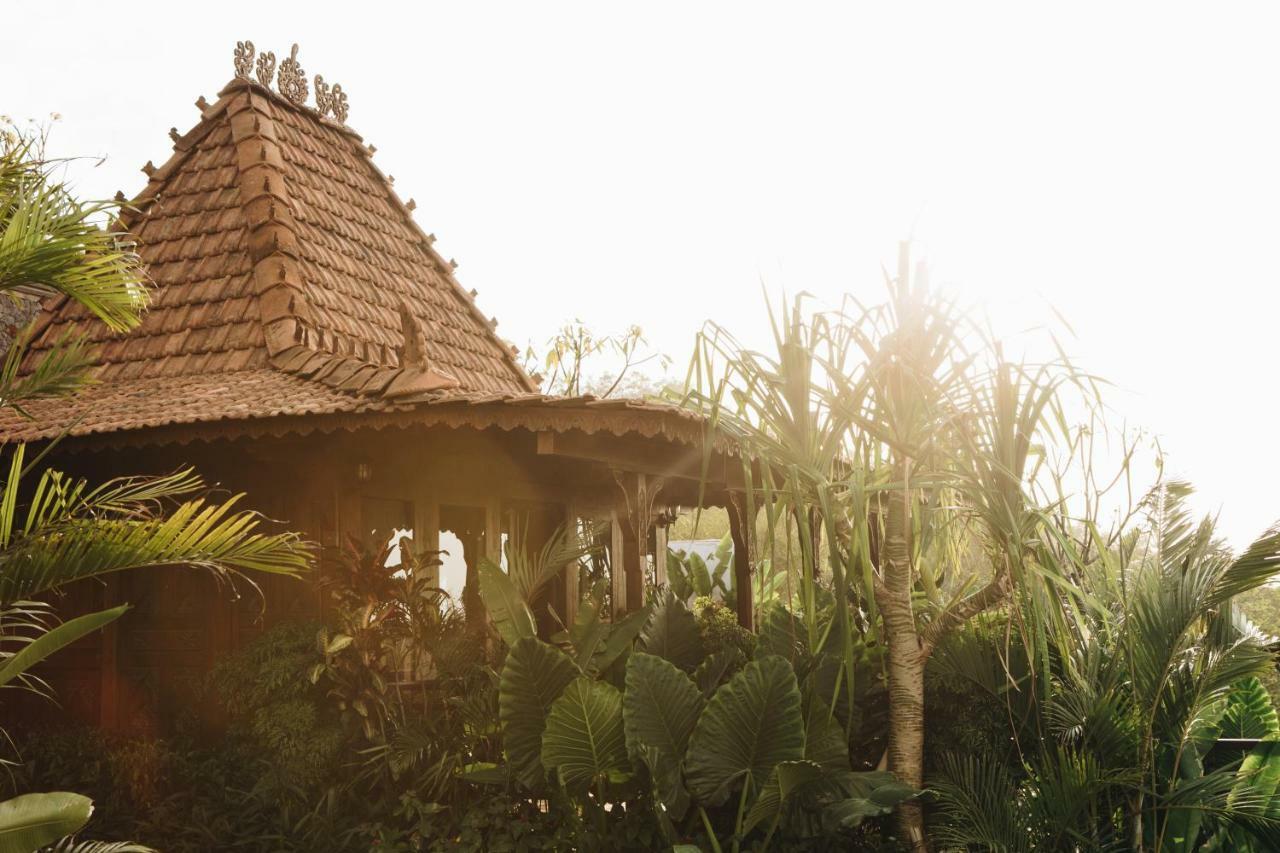 White Tortoise Eco Villa'S Uluwatu  Ngoại thất bức ảnh